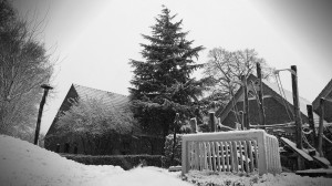 20171210_Fußball_web